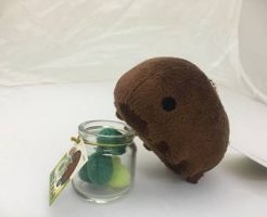 ヨコヅナクマムシ