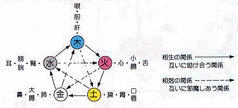 陰陽五行説での胃と鼻の関係