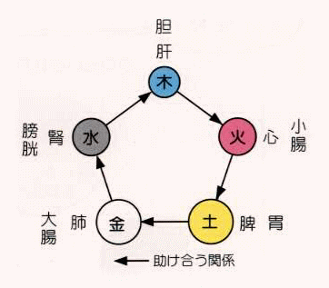 陰陽五行説と内臓の関係