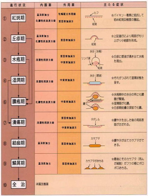 皮膚病の進行状況とその状況に対応した漢方処方