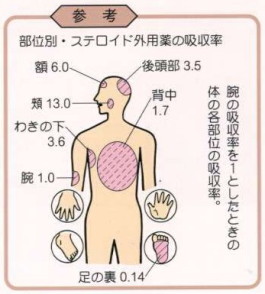 皮膚の部位別ステロイド剤の吸収率