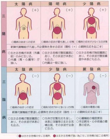 傷寒論の三陰三陽病で考える皮膚病漢方処方