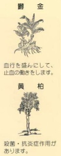 止血と殺菌作用のある生薬