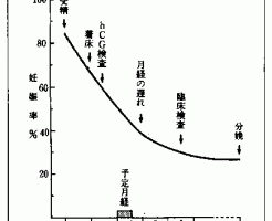 妊娠初期の胚の消失