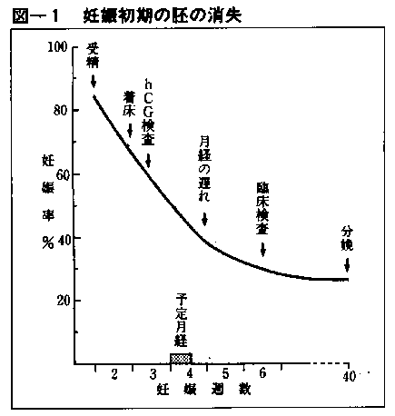 妊娠初期の胚の消失