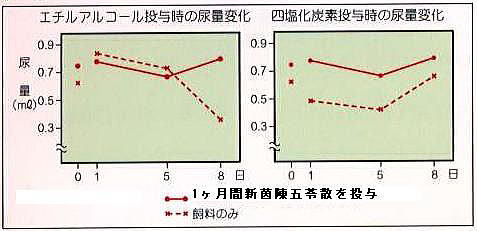 腎臓病モデル実験動物での新茵陳五苓散の排尿効果