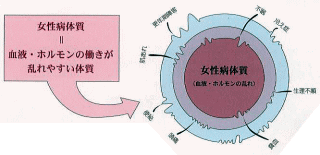 婦人科疾患は血液・ホルモンが乱れやすい体質