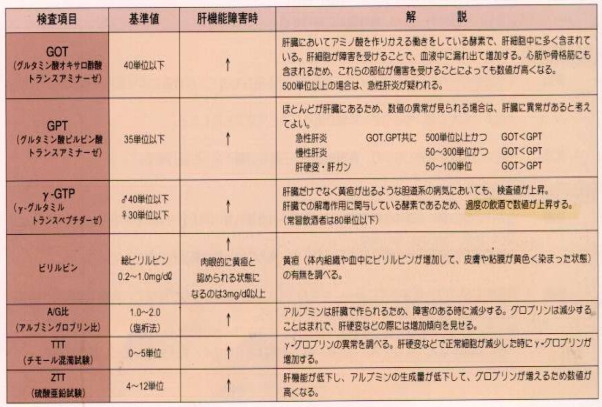 肝臓の検査項目とその解説