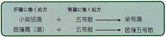 肝臓と腎臓の両方に効く漢方処方