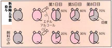 エタノールを投与した実験動物に対する漢方薬の効果