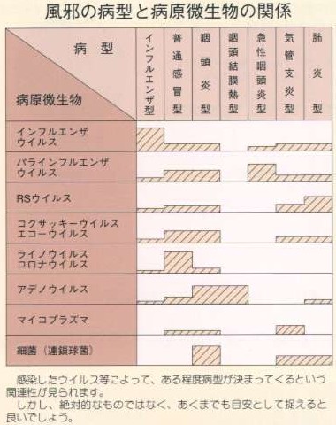 風邪の型と病原微生物の関係