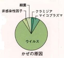 風邪の原因となるウイルス以外の病原微生物