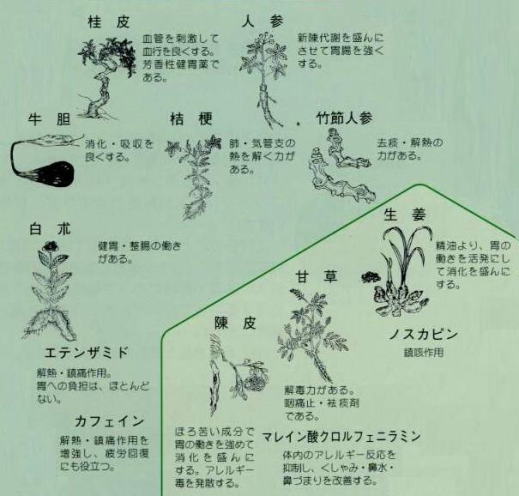 現代人の風邪対策の漢方処方例