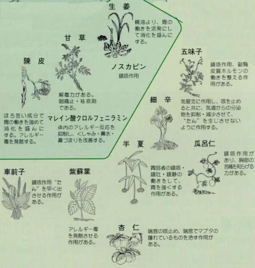 咳中心の風邪対策に用いる漢方処方例