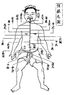 中国古典に描かれた任脈と経穴