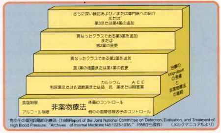 現代医学の高血圧症に対する薬物治療