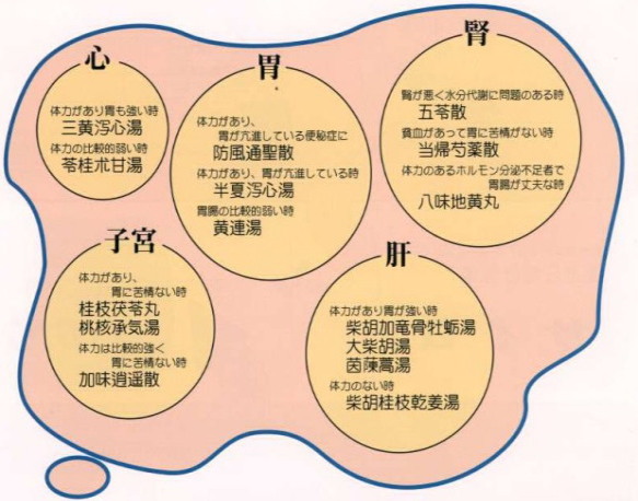 高血圧症に使用される漢方処方