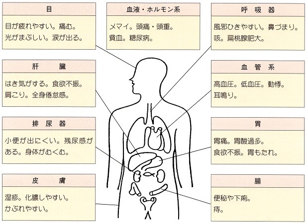 虚弱体質、雑病体質、自律神経失調の人に出やすい症状