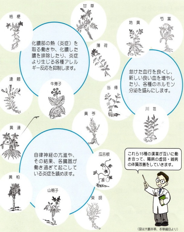 陽病虚弱体質の漢方薬処方例