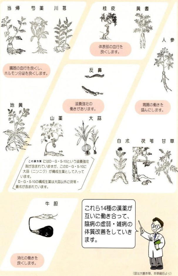 陰病虚弱体質の漢方薬処方例