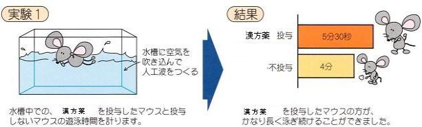 陰病虚弱体質者用漢方薬を用いた臨床研究（水泳）