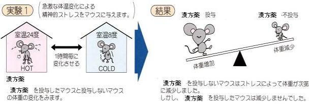 陰病虚弱体質者用漢方薬を用いた臨床研究（温度ストレスへの効果）