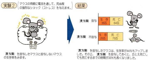 陰病虚弱体質者用漢方薬を用いた臨床研究（闘争心向上効果）