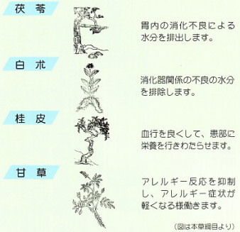 消化器系の不良水分を除く漢方薬の構成生薬