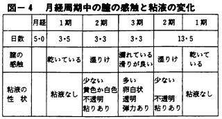 月経周期中の膣の感触と粘液の変化