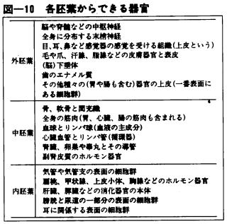 外胚葉・中胚葉・内胚葉全部が分化して出来る器官