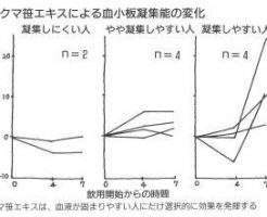 クマザサで血液サラサラ