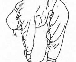 操体法、前後の屈伸