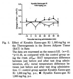 ジャコウ製剤の褐色脂肪組織活性化の研究