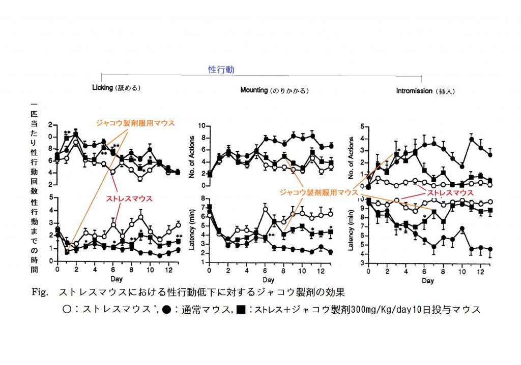 ストレスによる性行動低下を改善するジャコウ製剤