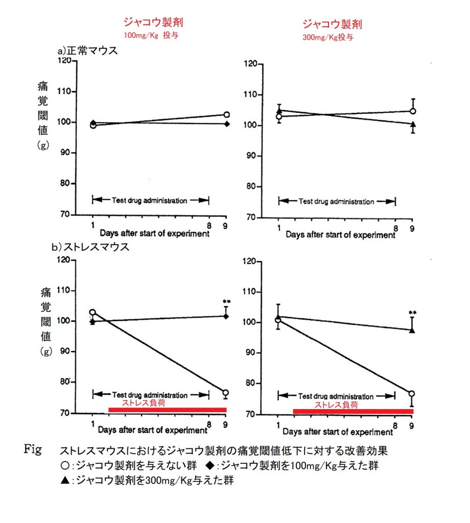 ジャコウ製剤の痛み改善効果