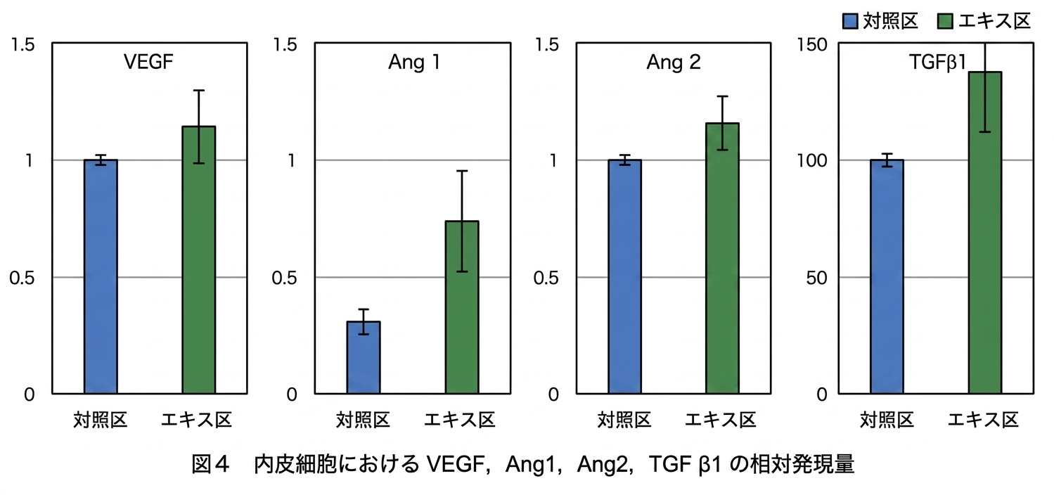 内皮細胞におけるVEGF,Ang1,Ang2,TGFβ１の相対発現量