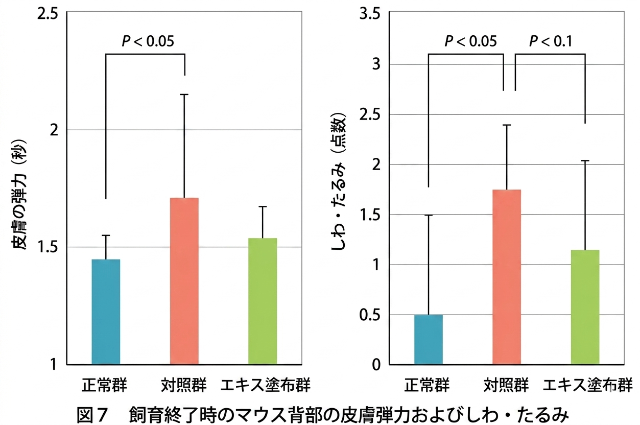 飼育終了時のマウス背部の皮膚弾力およびシワ・タルミ